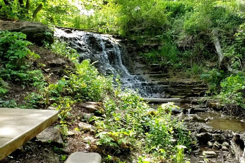 Photo of Outdoor in Hamilton