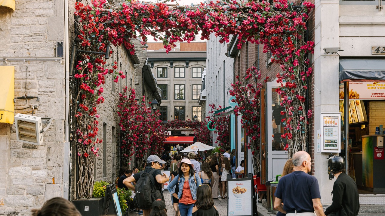 Photo of Others in International District