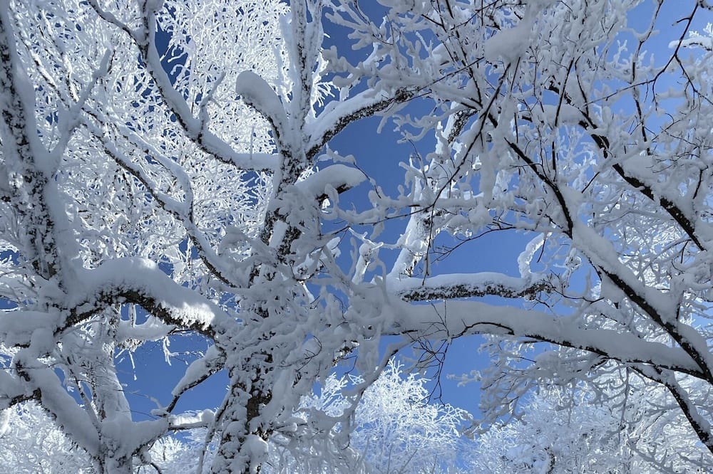 Photo of Outdoor in Sainte-Agathe-des-Monts