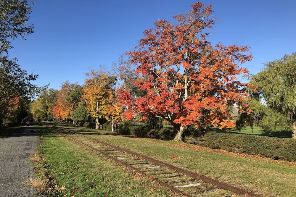 Photo of Outdoor in Wolfville
