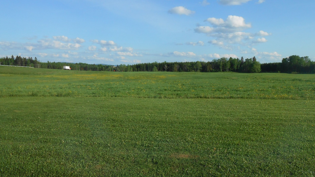 Photo of Outdoor in Jacksonville