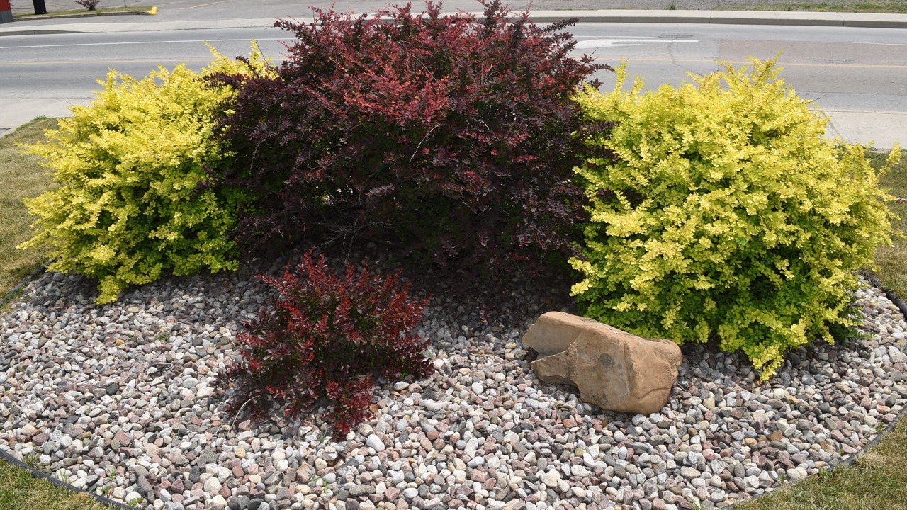 Photo of Outdoor in Arnprior