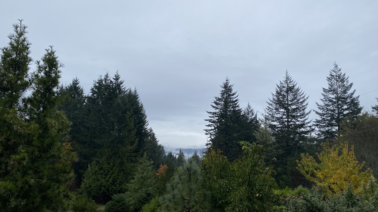 Photo of Others in East Sooke