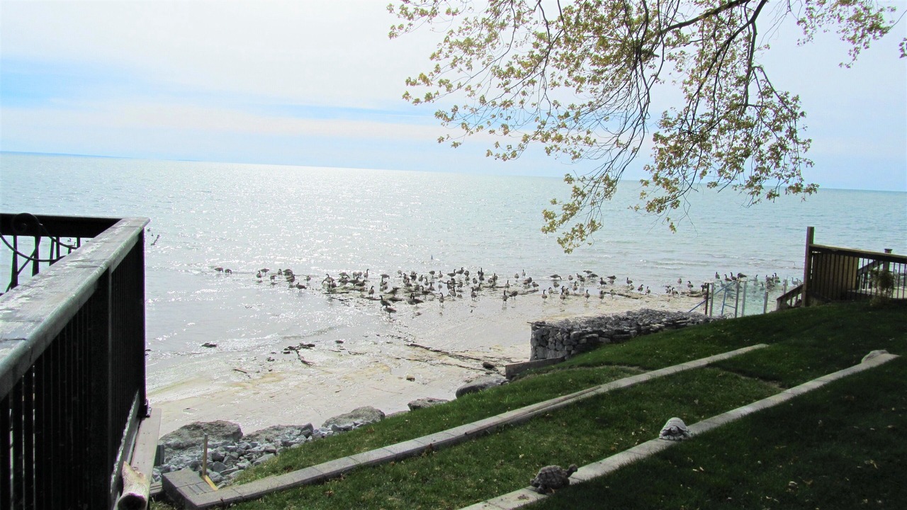 Photo of Outdoor in Selkirk