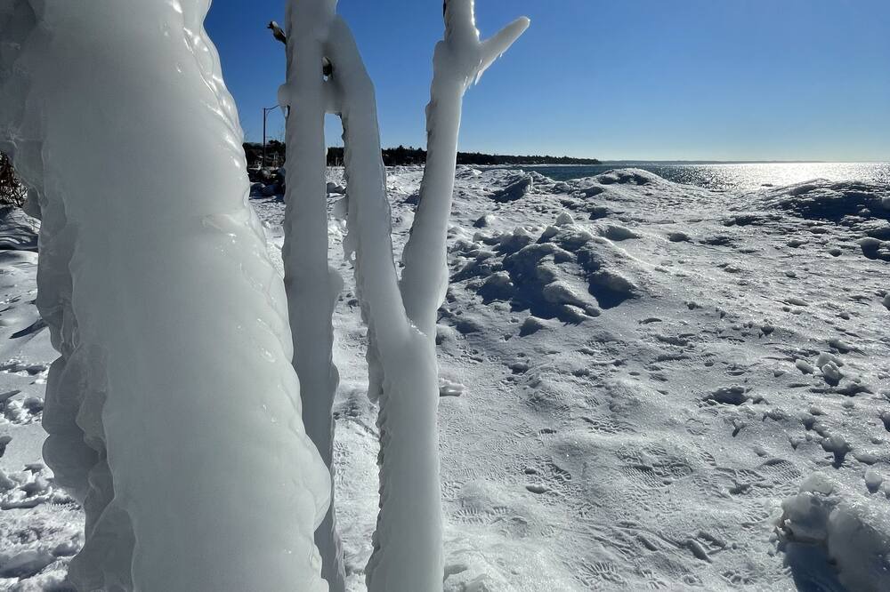 Photo of Others in Balm Beach