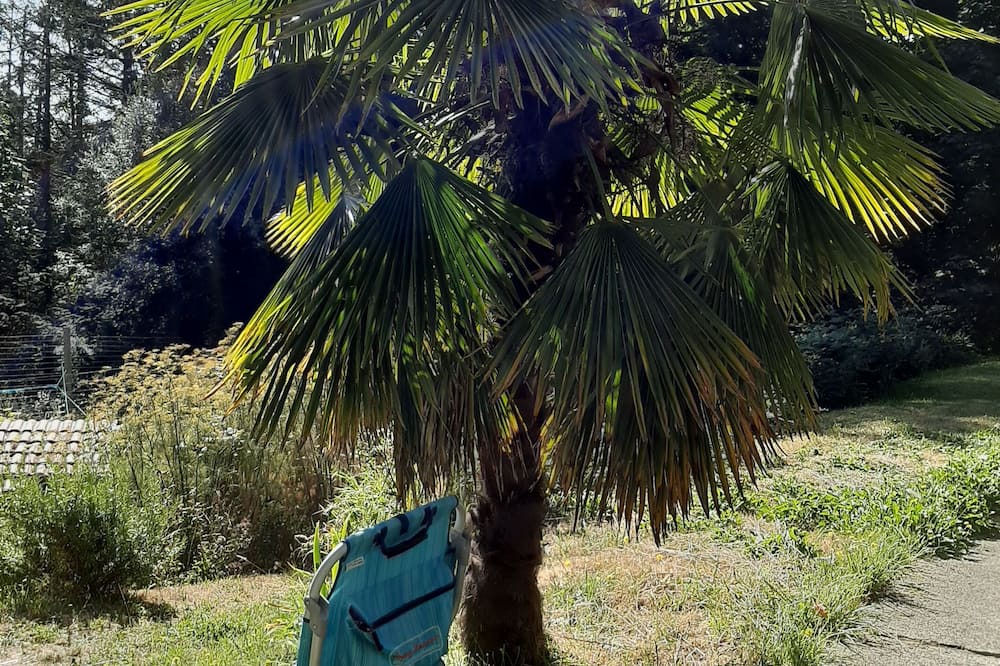 Photo of Outdoor in Metchosin