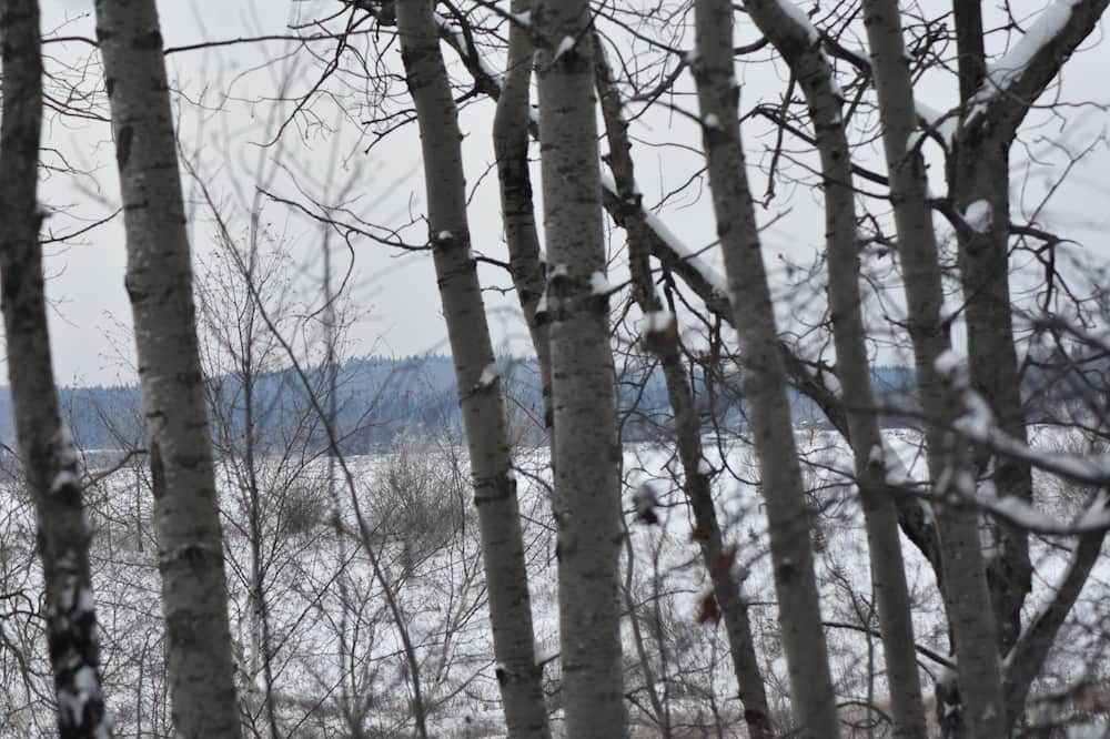 Photo of Outdoor in Gronlid