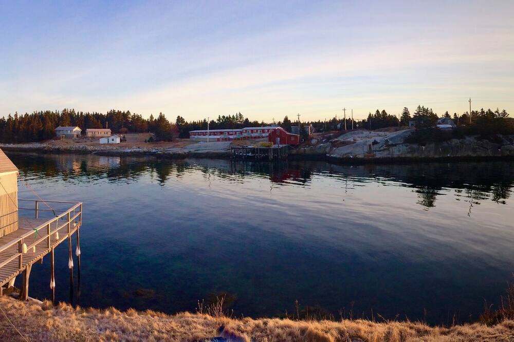 Photo of Others in Indian Harbour