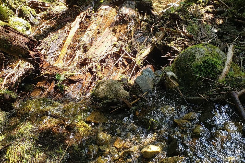 Photo of Outdoor in Fraser Valley Regional District