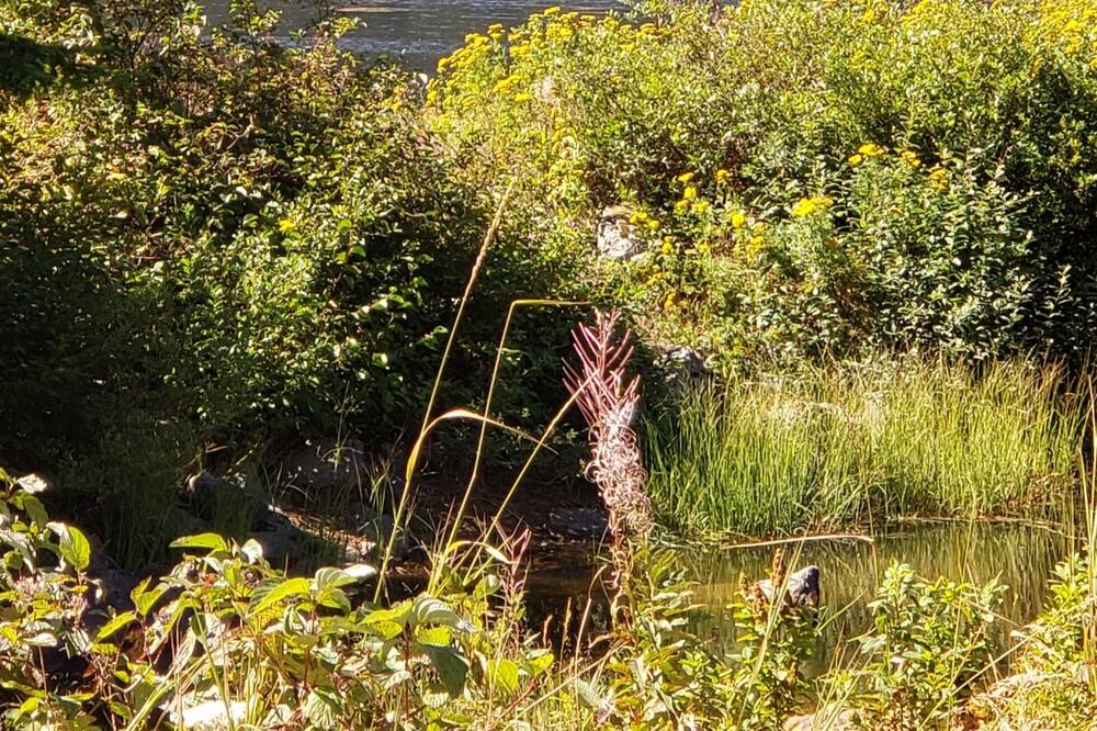 Photo of Outdoor in Fraser Valley Regional District