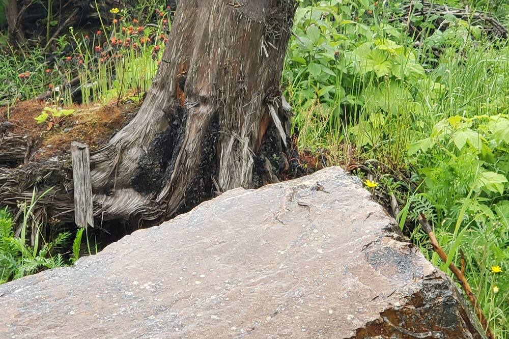 Photo of Outdoor in Fraser Valley Regional District