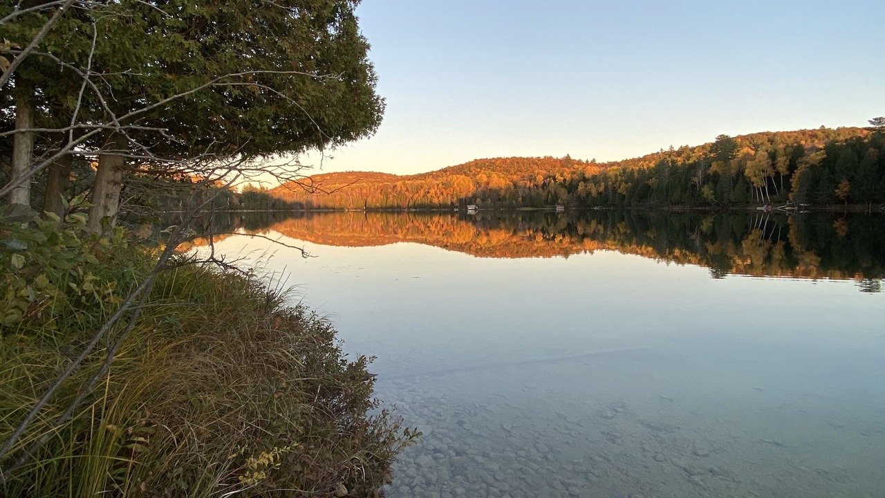 Photo of Others in La Peche