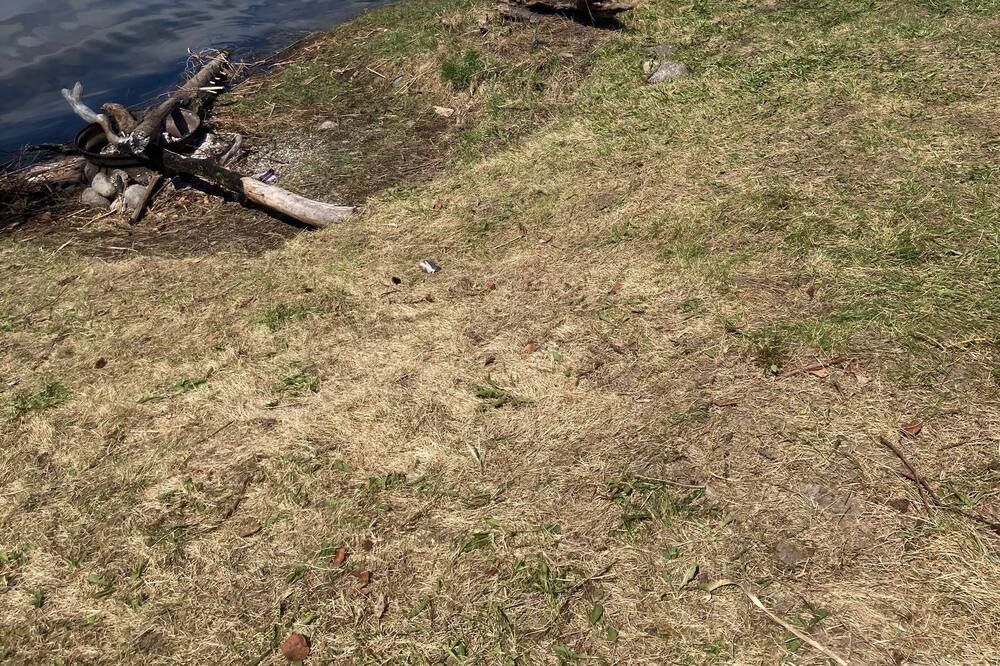 Photo of Others in Lone Butte