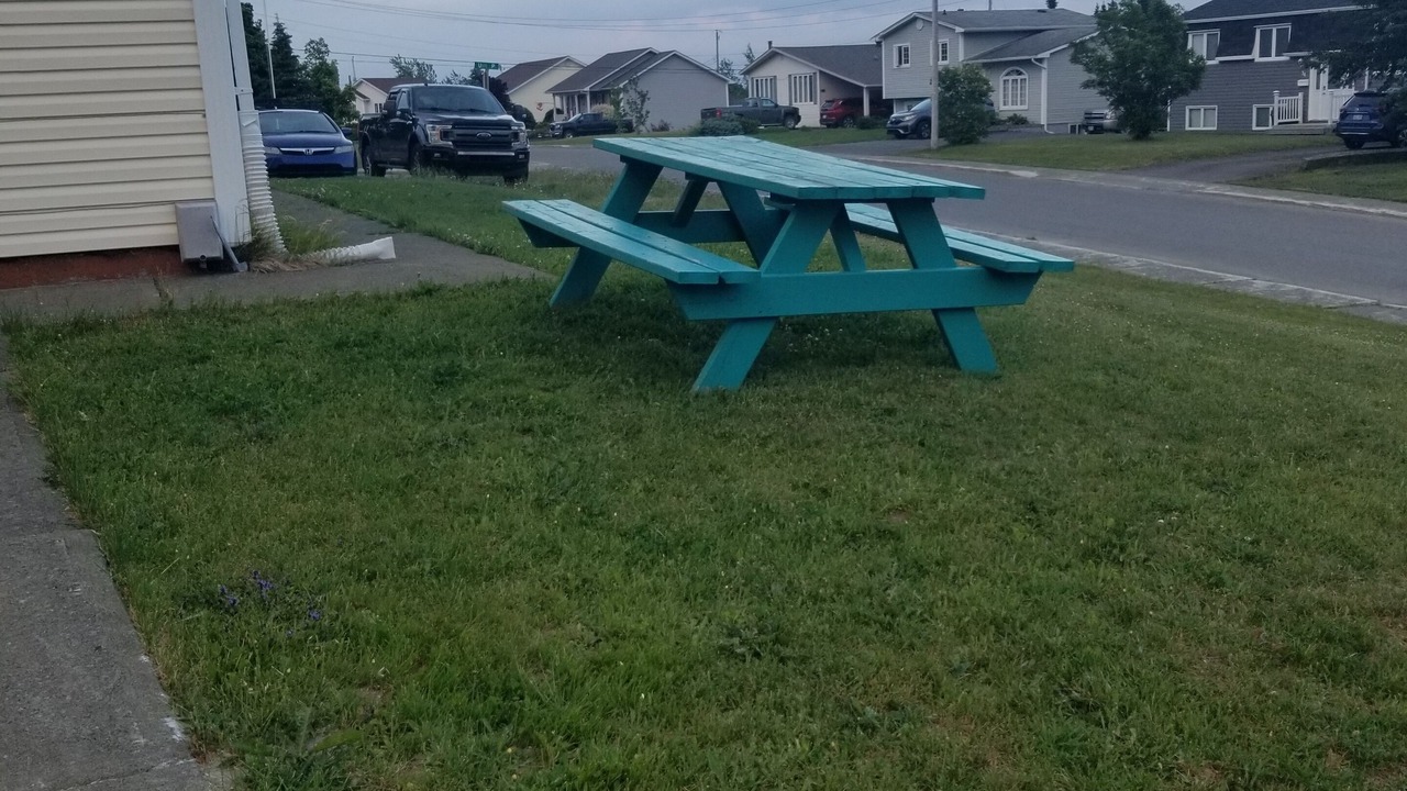 Photo of Outdoor in Grand Falls - Windsor