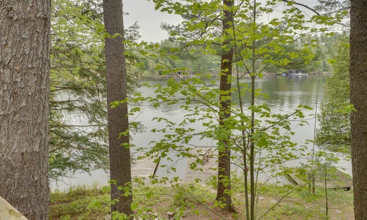 Photo of Outdoor in Muskoka Lakes