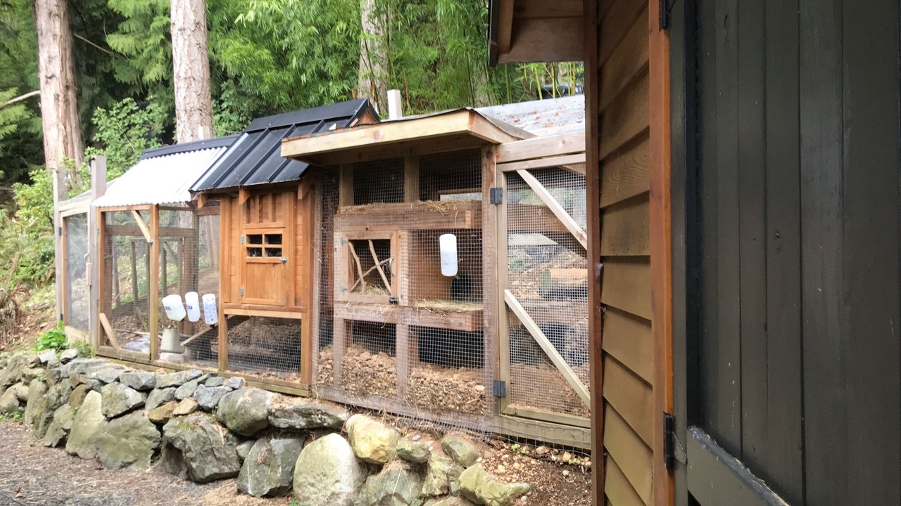 Photo of Outdoor in Bowen Island