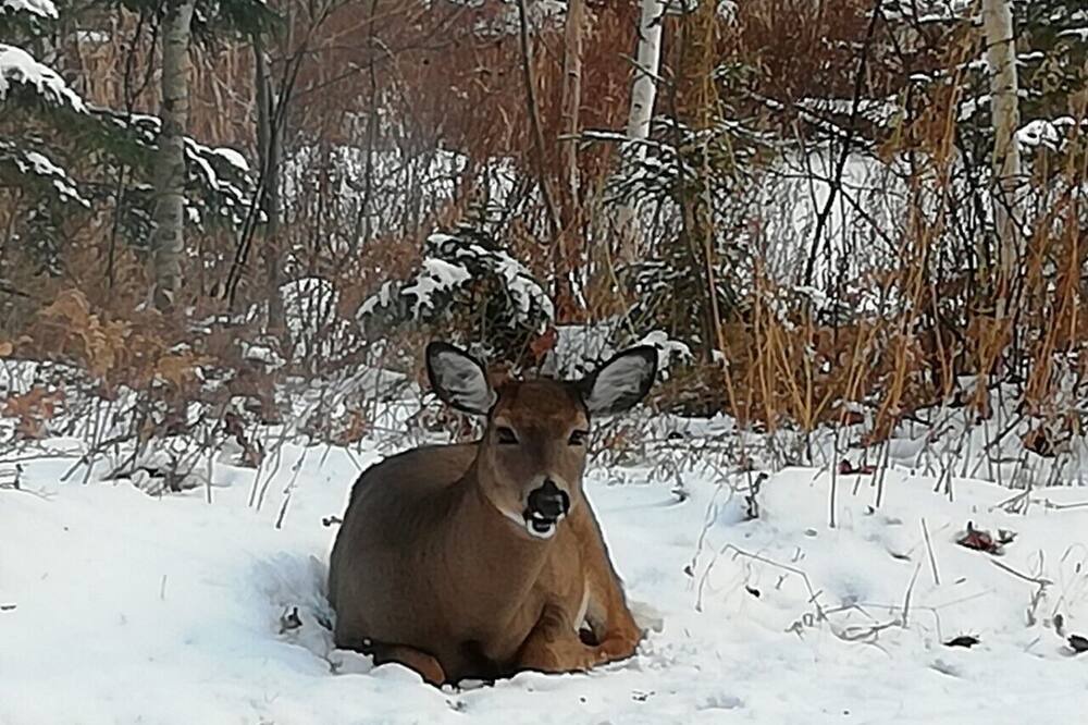 Photo of Outdoor in Mont-Tremblant