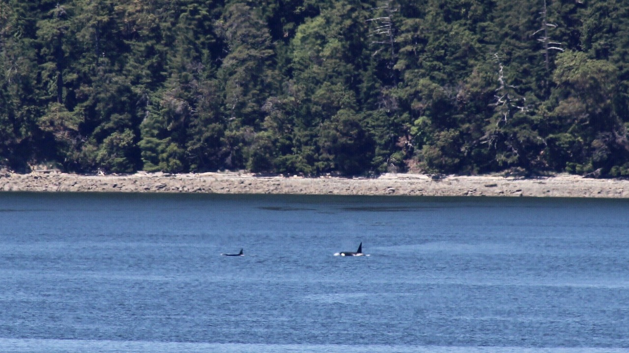 Photo of Others in Regional District of Nanaimo