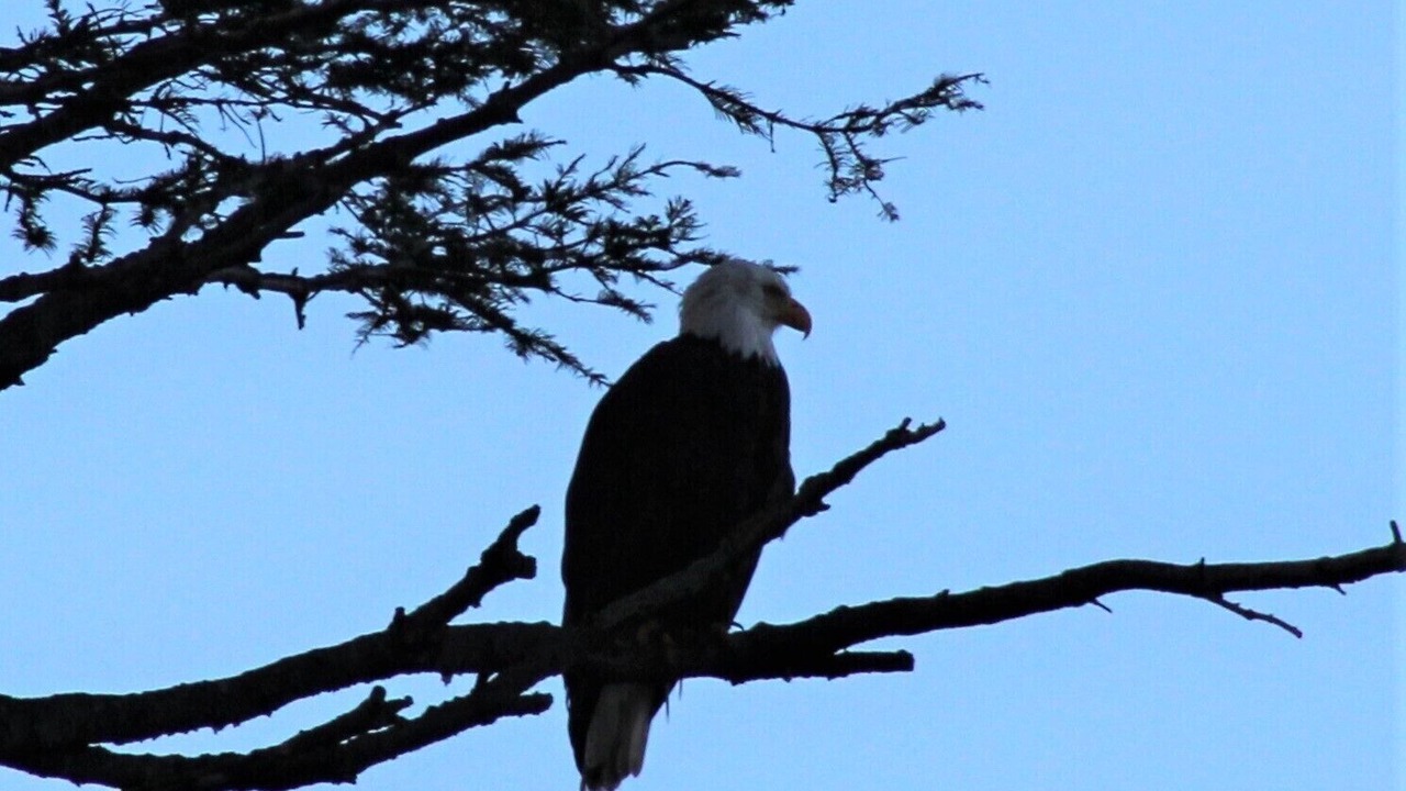 Photo of Others in Regional District of Nanaimo
