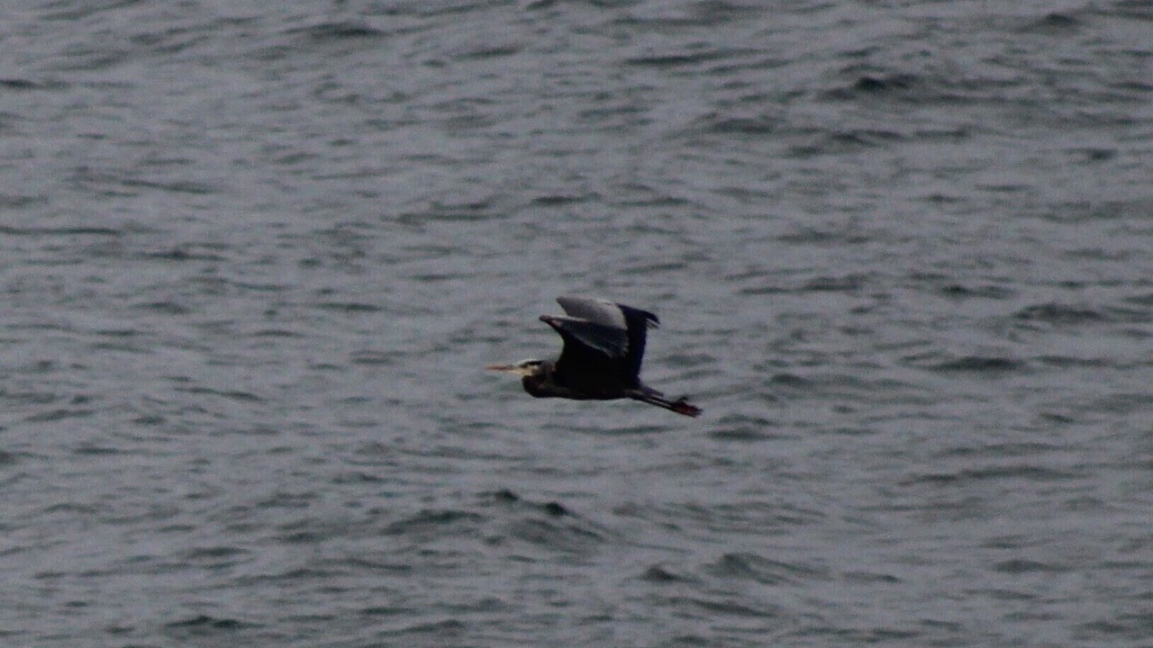 Photo of Others in Regional District of Nanaimo