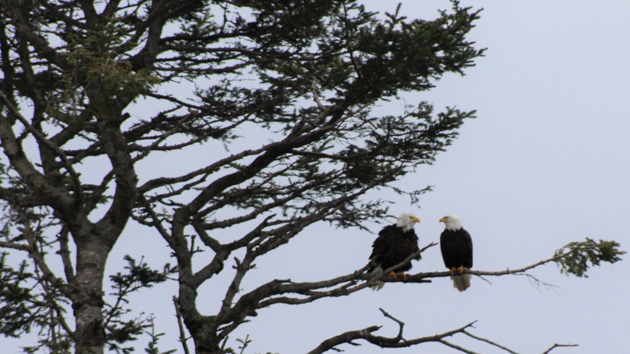 Photo of Others in Regional District of Nanaimo