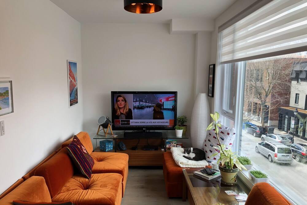 Photo of Livingroom in Pointe-Saint-Charles