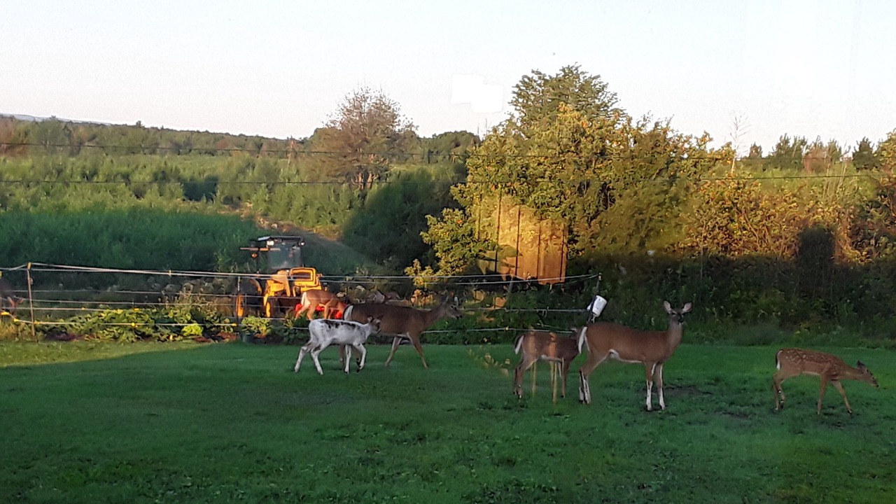 Photo of Outdoor in Tatamagouche