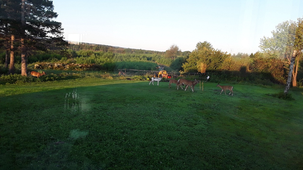 Photo of Others in Tatamagouche