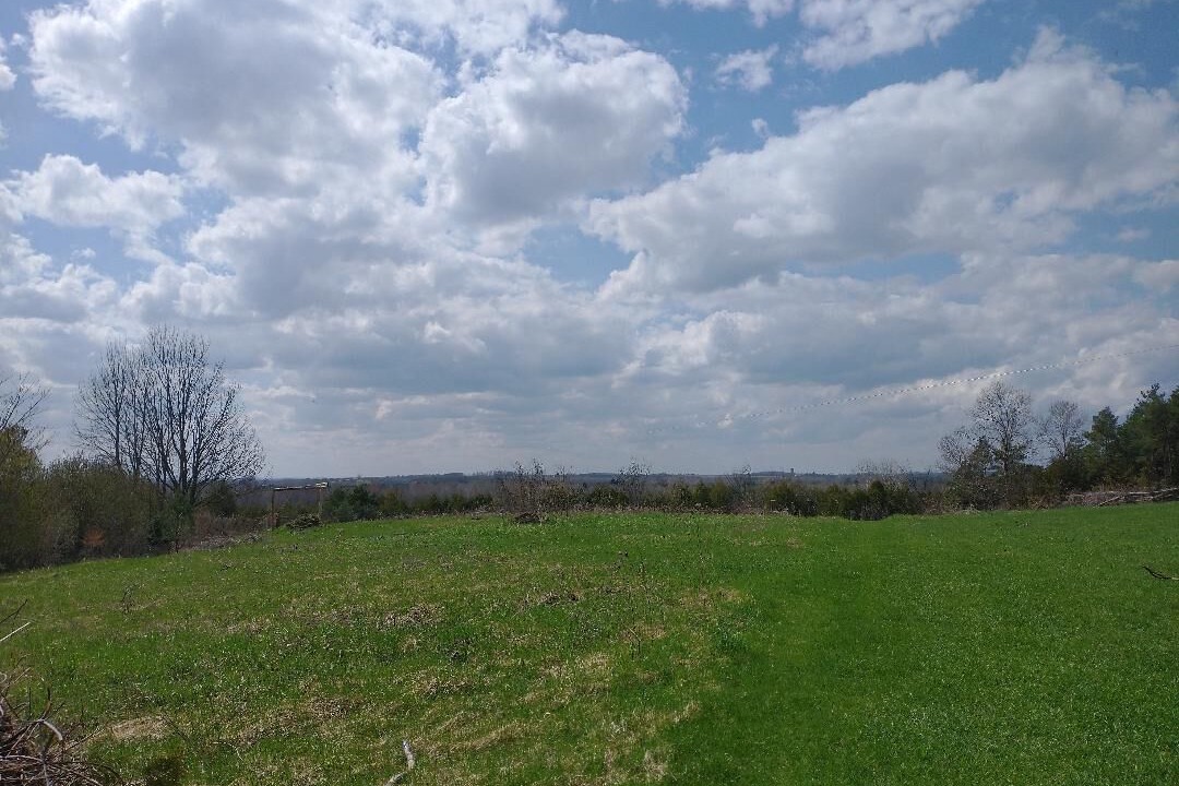 Photo of Outdoor in Sutton