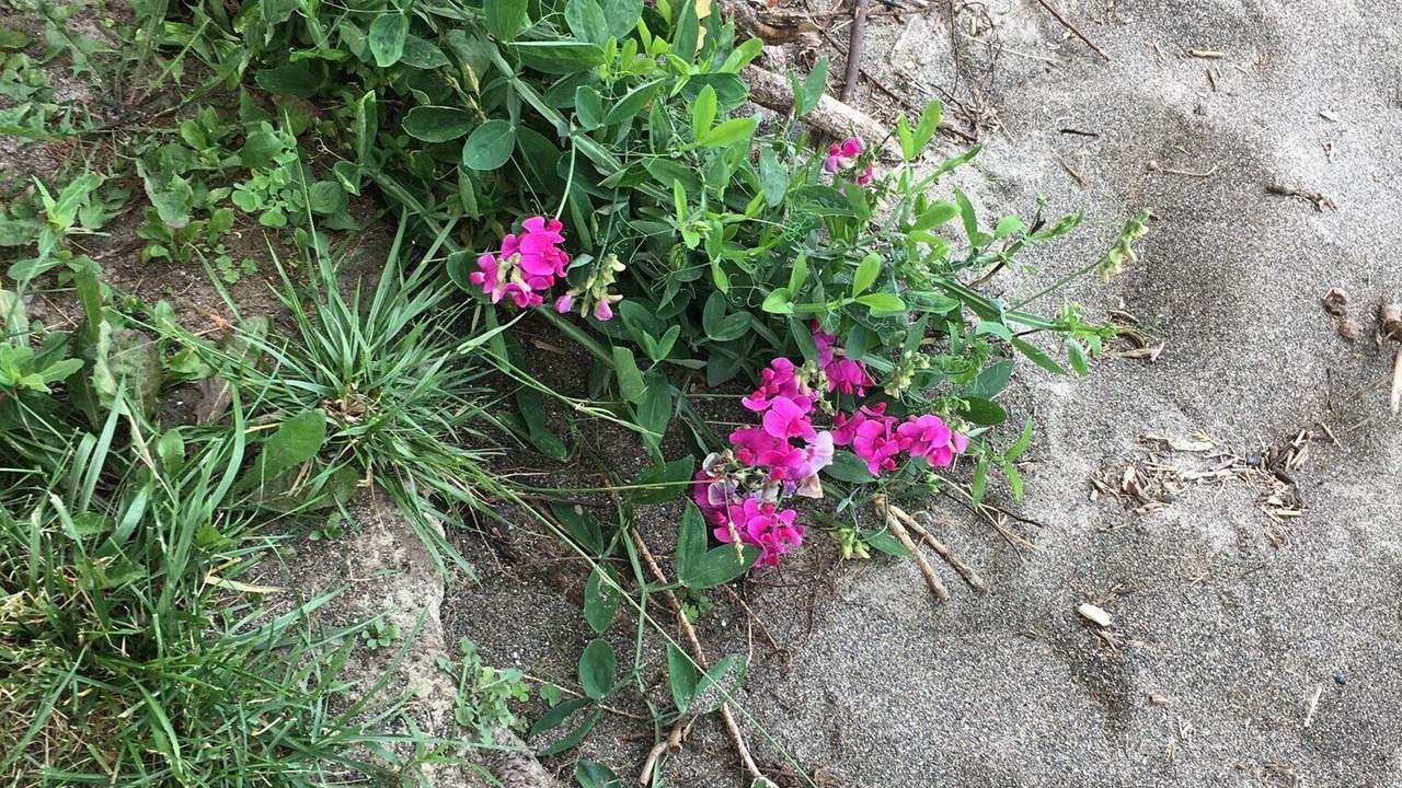 Photo of Outdoor in Wheatley