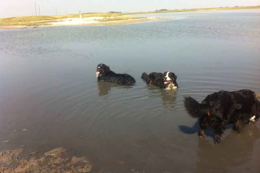 Photo of Others in East Central Saskatchewan