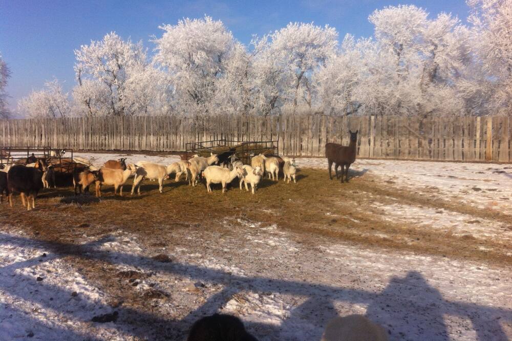 Photo of Others in East Central Saskatchewan