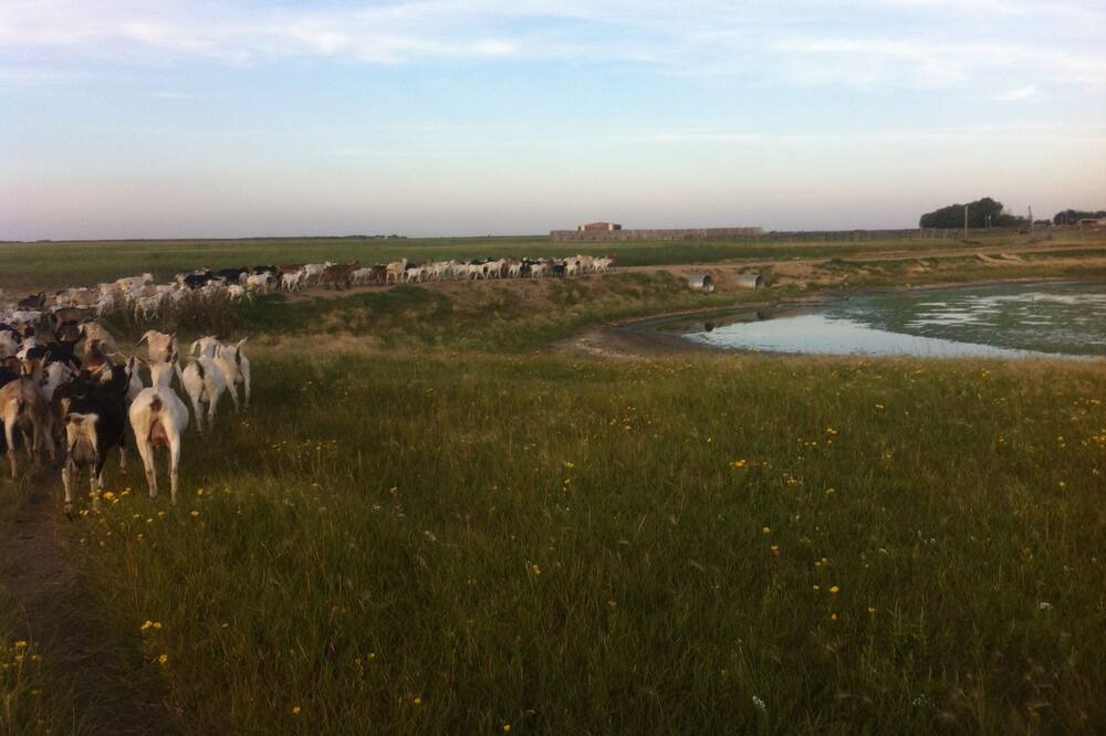 Photo of Others in East Central Saskatchewan