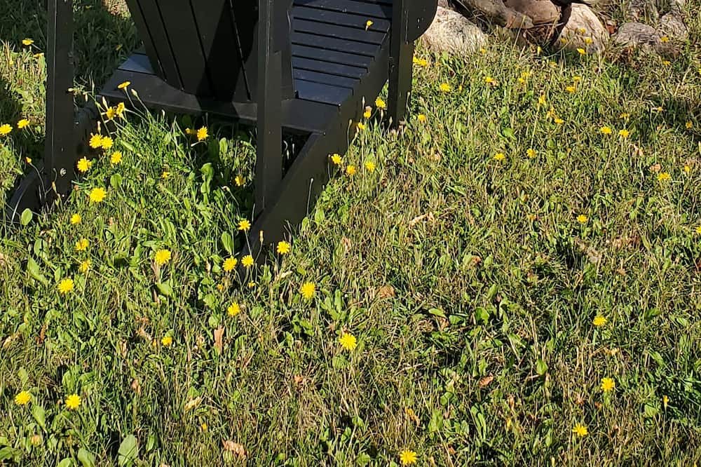 Photo of Outdoor in Bayside