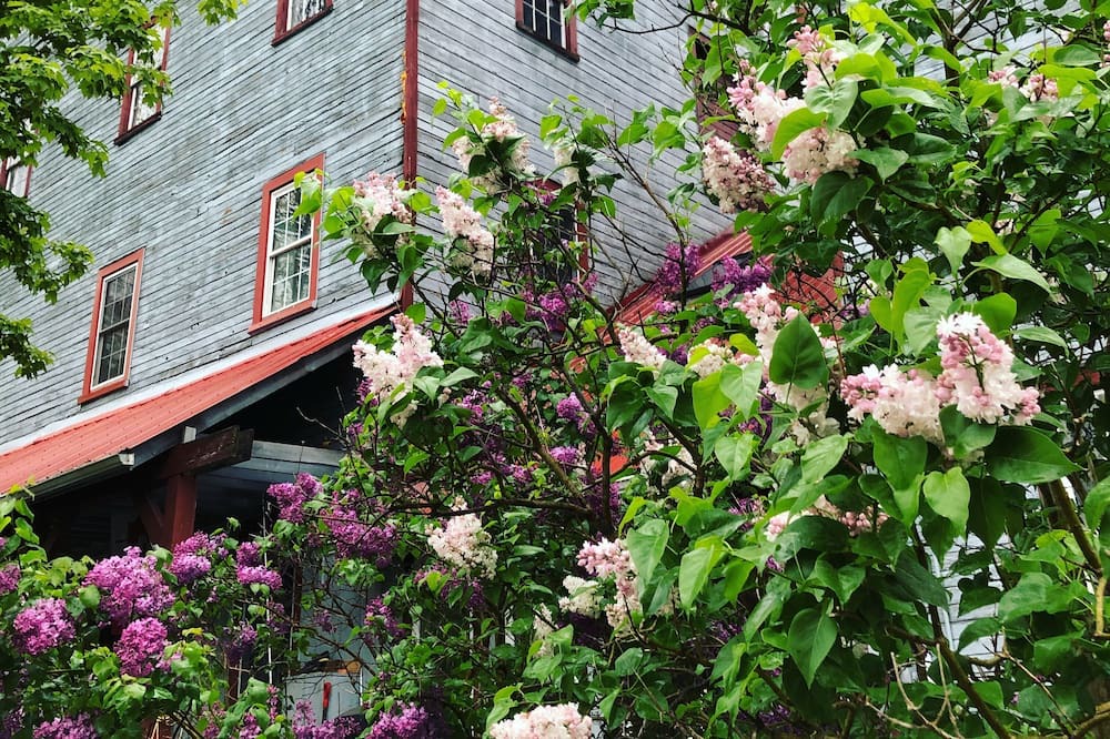 Photo of Outdoor in Paisley