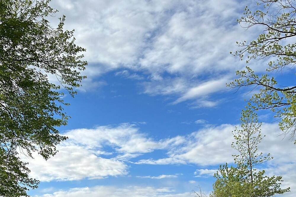 Photo of Others in Quinte West