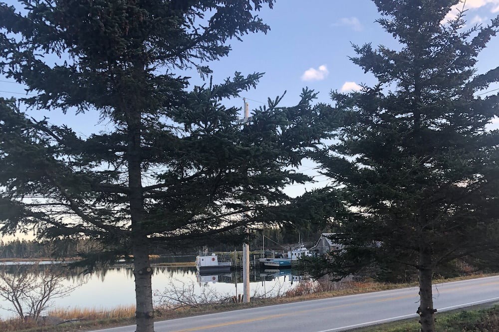 Photo of Outdoor in West Dublin