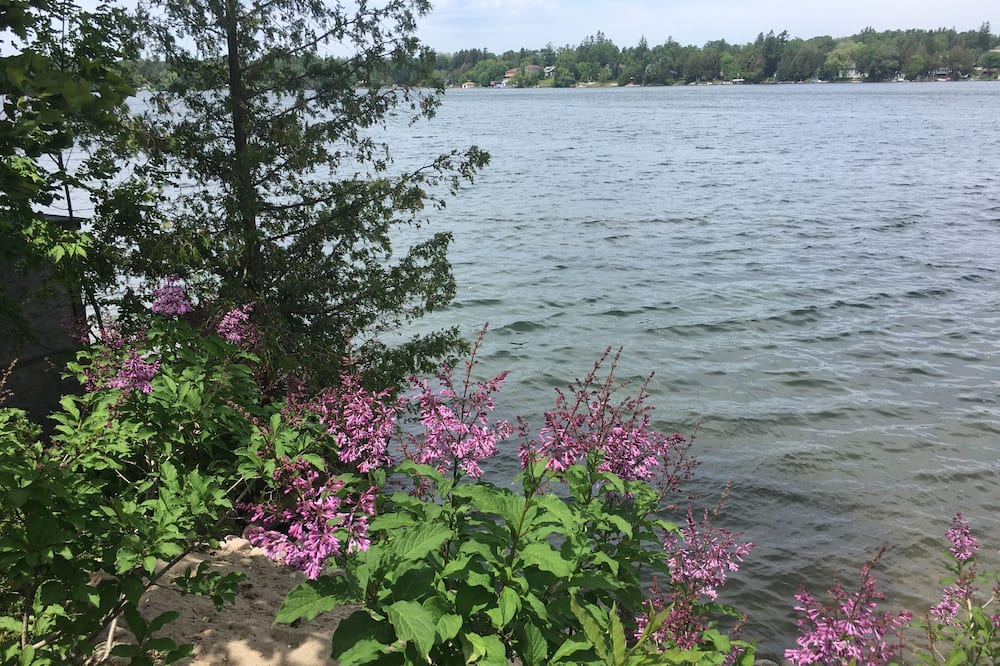 Photo of Outdoor in Whitchurch-Stouffville