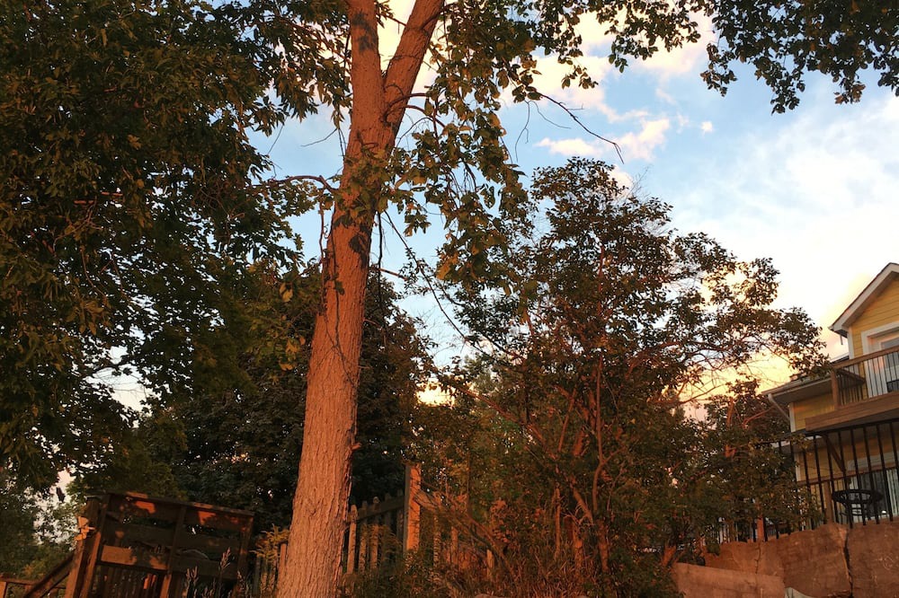 Photo of Outdoor in Whitchurch-Stouffville