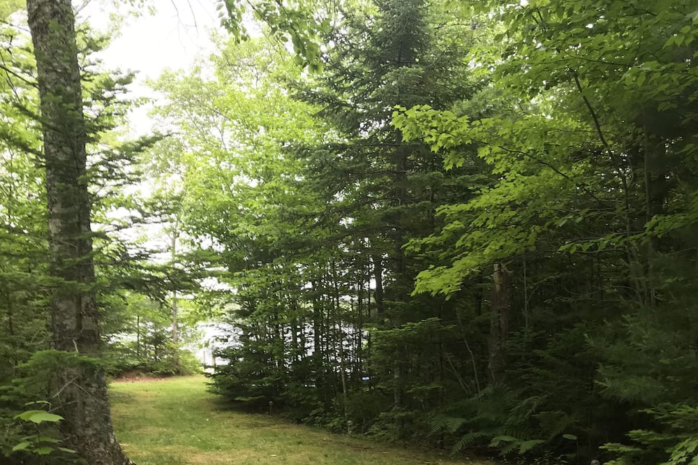 Photo of Outdoor in Kings County
