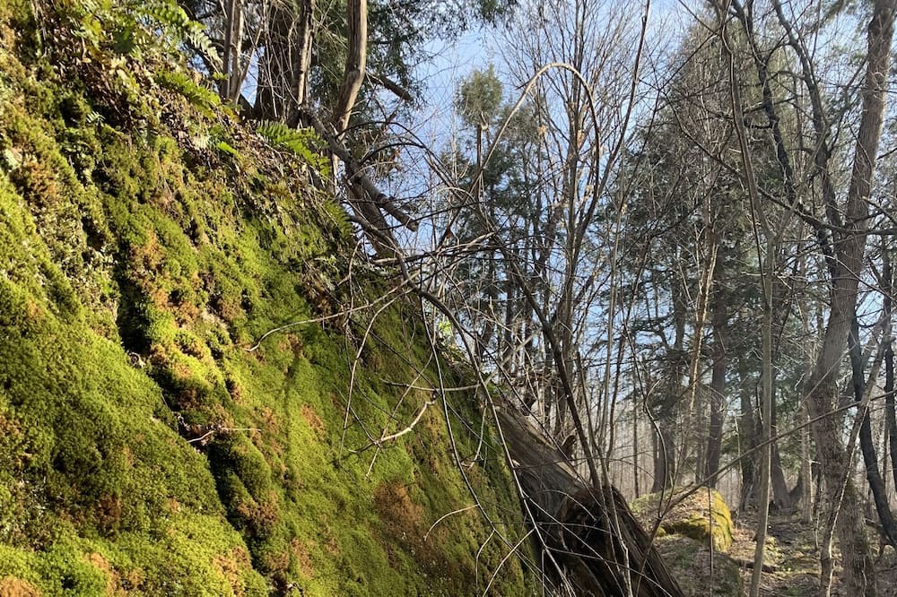 Photo of Outdoor in Unorganized Centre Parry Sound