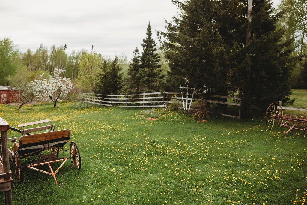 Photo of Outdoor in Grand Falls - Windsor