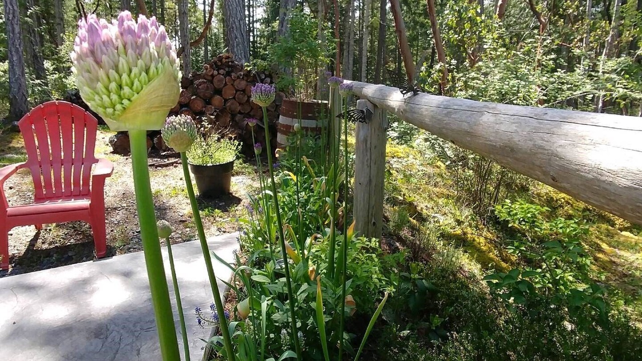 Photo of Outdoor in Lund