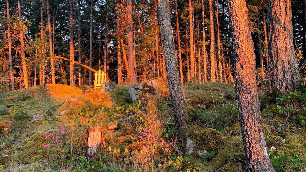 Photo of Outdoor in Lund