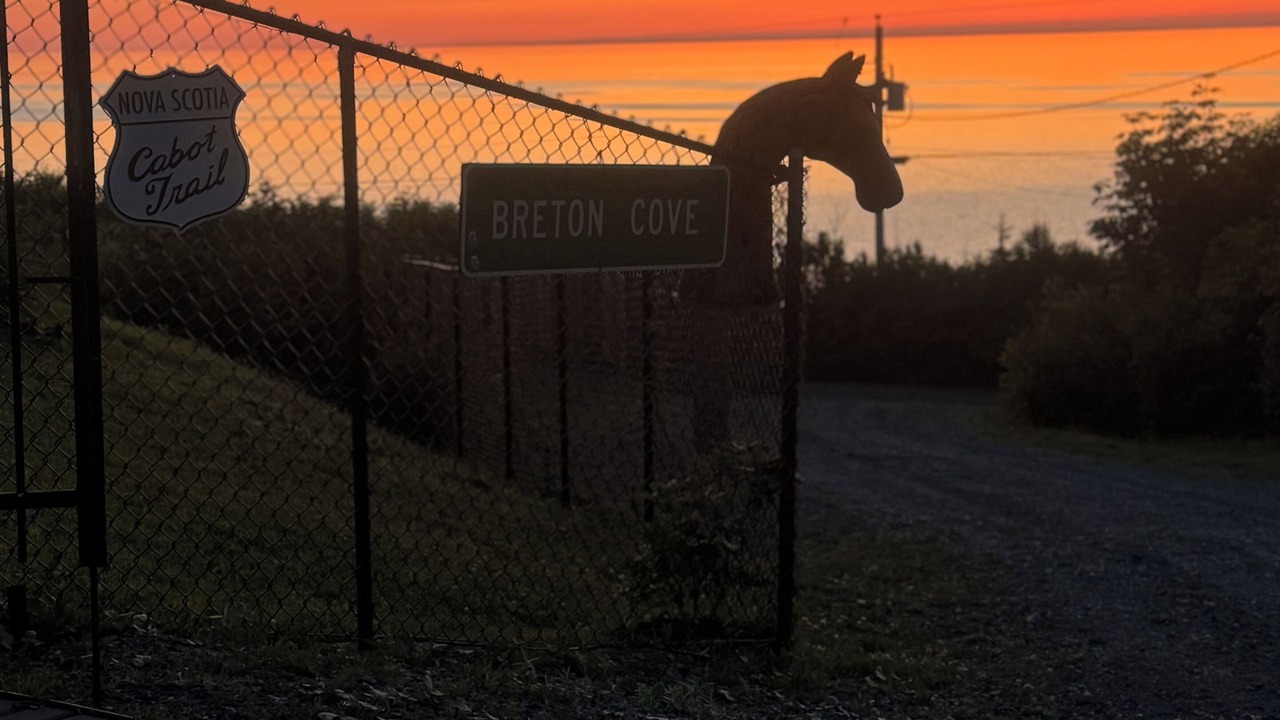 Photo of Outdoor in Malignant Cove