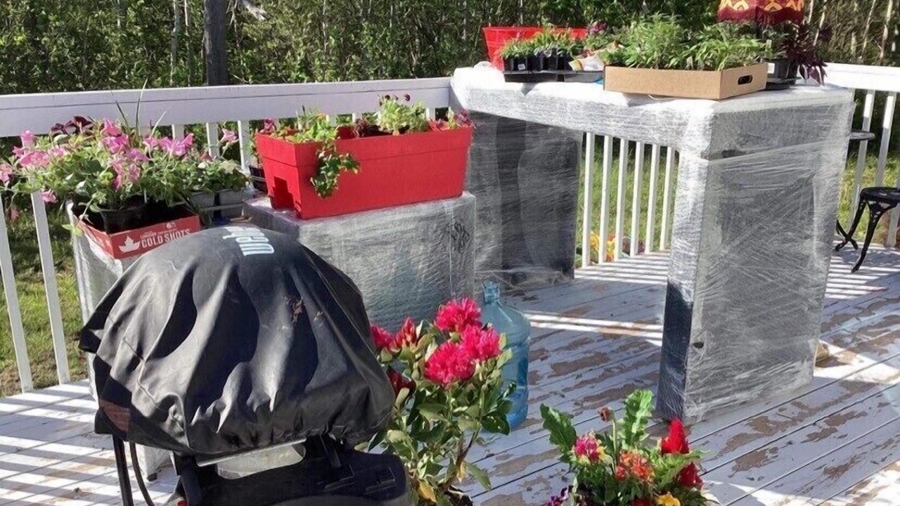 Photo of Outdoor in Malignant Cove