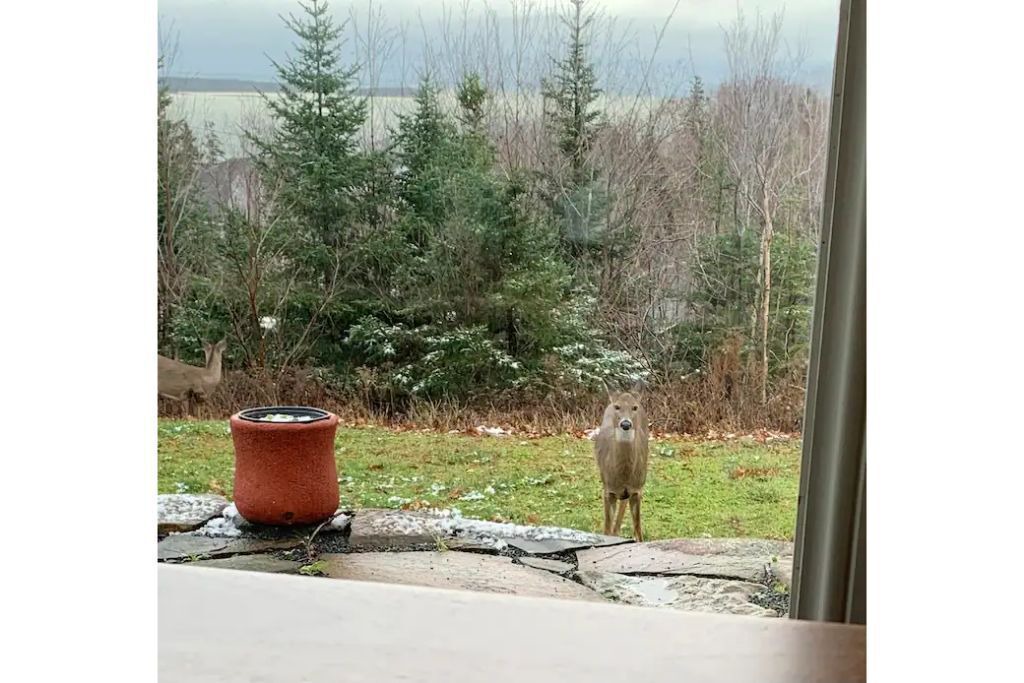 Photo of Others in Fergusons Cove