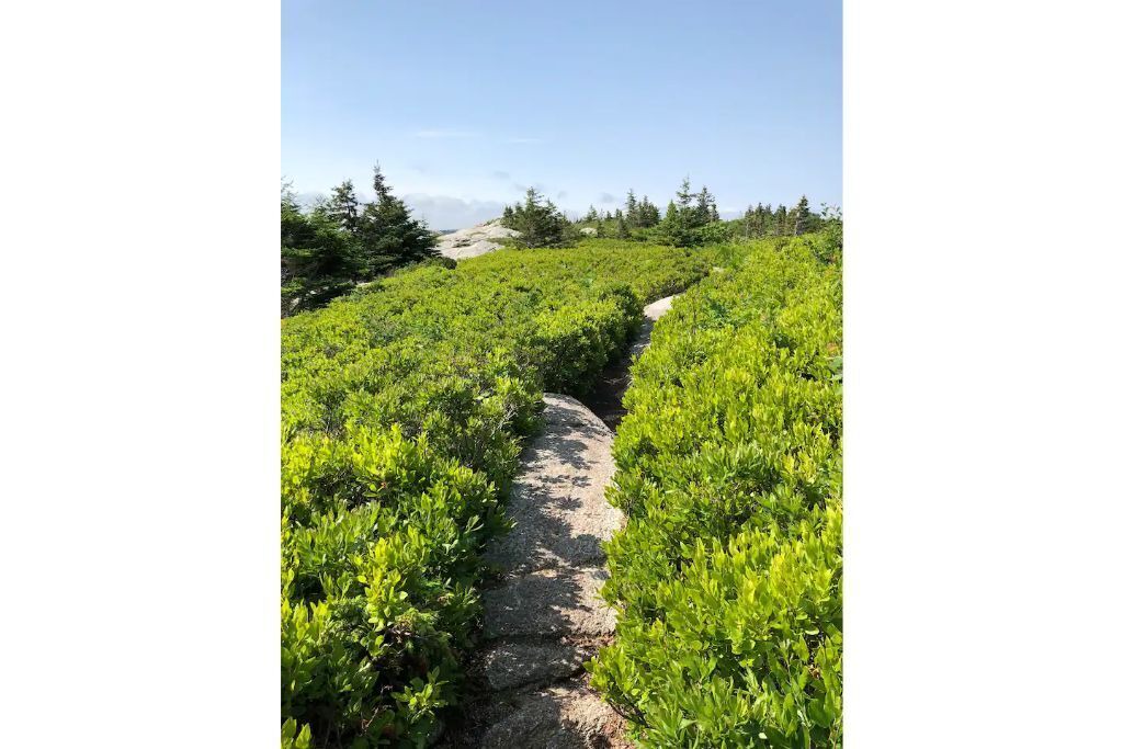 Photo of Outdoor in Fergusons Cove