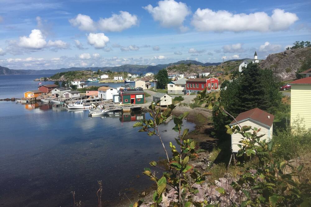 Photo of Others in Newfoundland