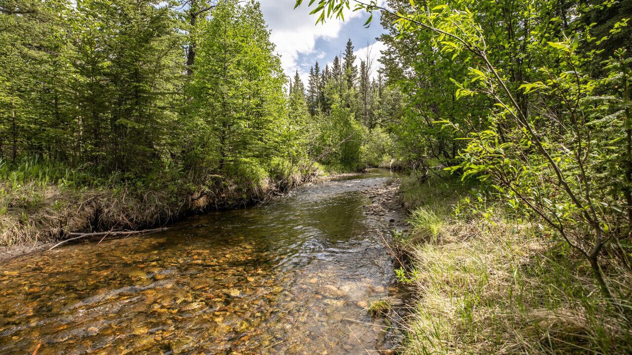 Photo of Outdoor in Jasper East